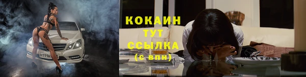 mdpv Белокуриха
