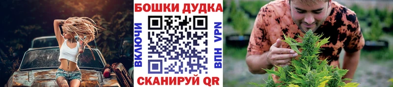 Каннабис Amnesia Пионерский